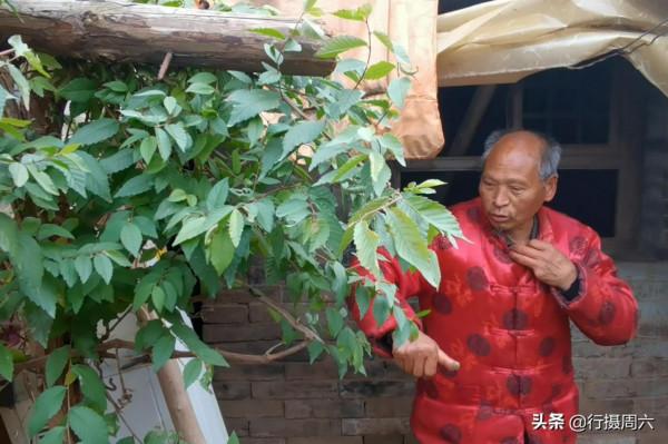 68歲大叔討過6個老婆，如今還是獨身，看他的人生感悟是什麼