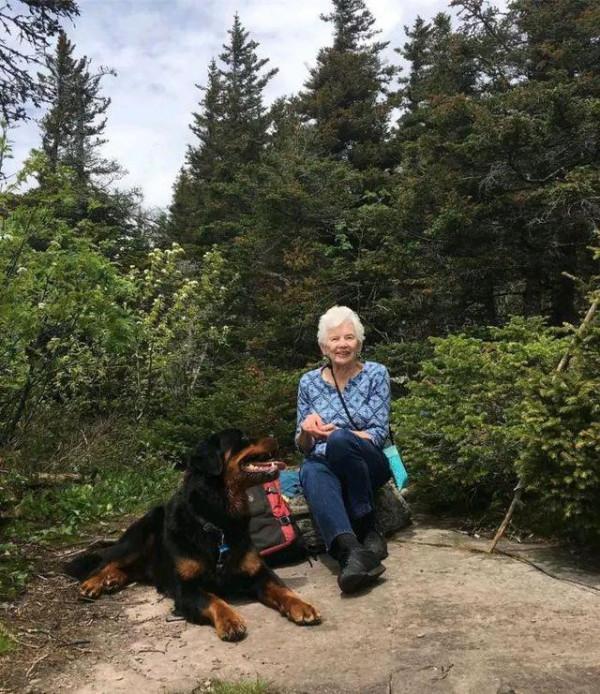 奶奶說不喜歡烈性犬,2年後卻讓孩子們酸了:這是當孫子在養? 奶奶說不喜歡烈性犬,2年後卻讓孩子們酸了:這是當孫子在養?