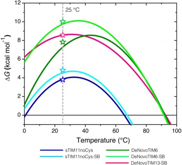 Protein Sci.｜一種新引入的鹽橋簇改善了從頭設計的TIM桶的結構和生物物理效能