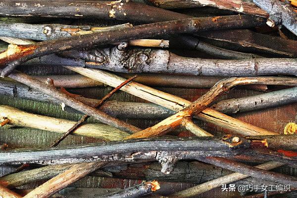 撿幾根枯樹枝,週末宅家做創意手工 撿幾根枯樹枝,週末宅家做創意手工