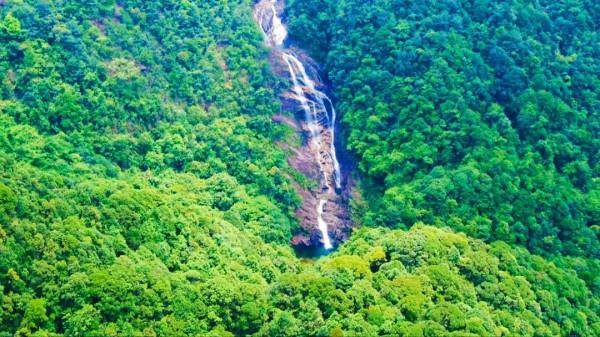 鵝凰嶂，陽江第一高峰，位於廣東省陽江市和茂名市三縣、市交界處