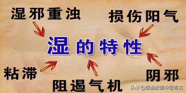 張仲景萬能健脾祛溼經典方,苓桂術甘湯,四味藥,健脾除溼除百病 張仲景萬能健脾祛溼經典方,苓桂術甘湯,四味藥,健脾除溼除百病