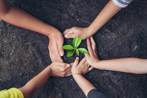 科學流言榜 | 有極冷天的冬天就是“冷冬”?泡熱水可以治凍傷?別上當 科學流言榜 | 有極冷天的冬天就是“冷冬”?泡熱水可以治凍傷?別上當