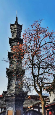 直播預告丨跟著主播去旅行——到崇州赴一場鄉野盛宴