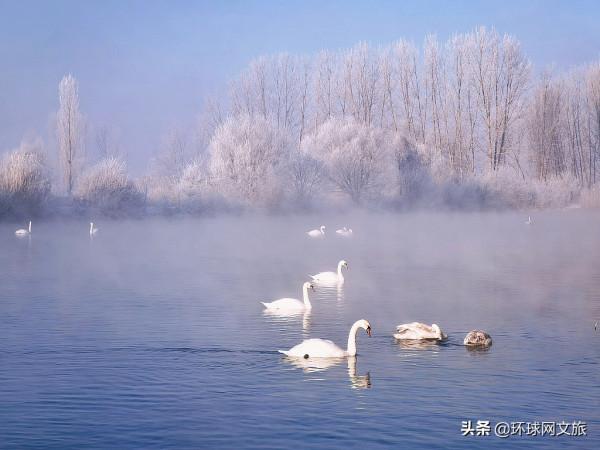 解鎖大自然的藝術品——驚豔了冬日的霧凇 解鎖大自然的藝術品——驚豔了冬日的霧凇