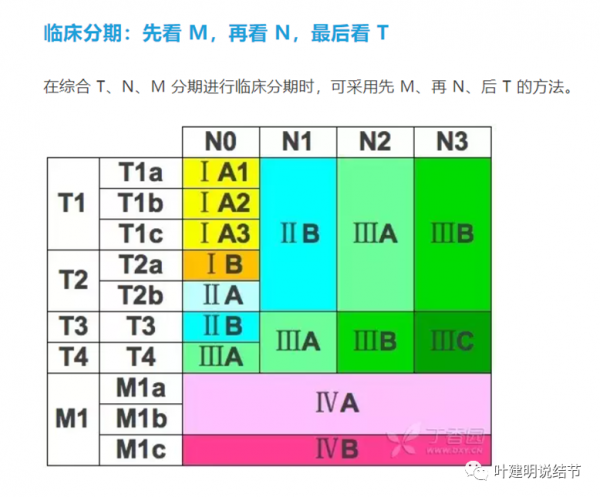 個人觀點：Ⅰ期NSCLC完全切除術後輔助治療分層建議（個人版）