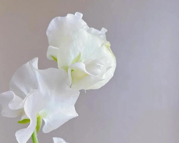 《易經》一個人智慧境界提升,相貌跟著轉變,無形中影響他人變好 《易經》一個人智慧境界提升,相貌跟著轉變,無形中影響他人變好