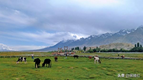 新疆塔什庫爾幹遊記 | 帕米爾高原上的特別風景:塔吉克族牧羊人 新疆塔什庫爾幹遊記 | 帕米爾高原上的特別風景:塔吉克族牧羊人