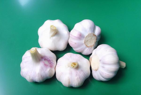 吃大蒜,到底是養生,還是“傷身”?聽聽醫生的回答 吃大蒜,到底是養生,還是“傷身”?聽聽醫生的回答