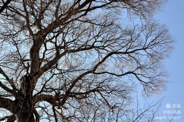 乘坐西峰索道上華山