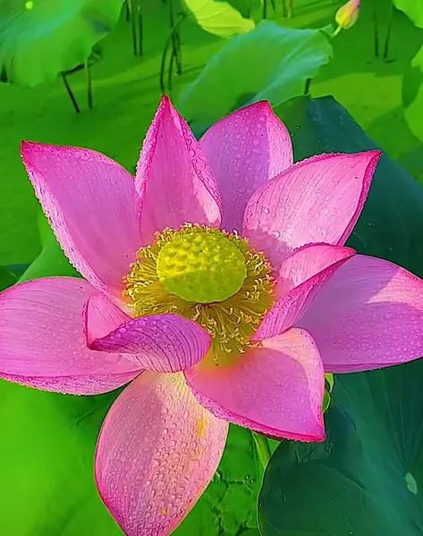 哪個時候讓你明白錢的重要性？