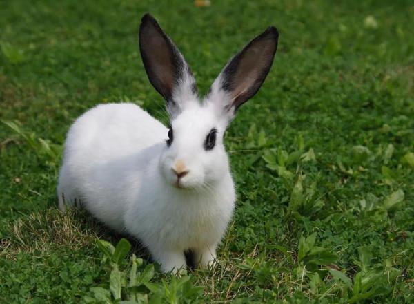 從脾氣秉性上,就能看出人的優劣態勢來 從脾氣秉性上,就能看出人的優劣態勢來