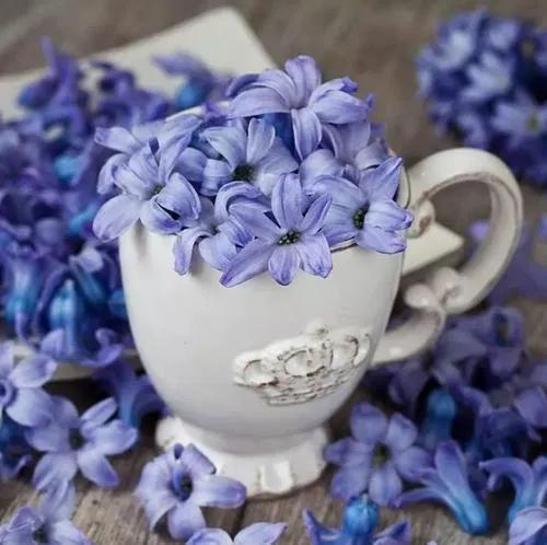 女性優雅的談吐是最吸引人的，怎樣讓自己的談吐更為優雅呢？