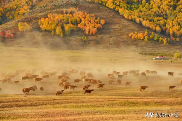 王陽明:擒拿心中的盜賊 王陽明:擒拿心中的盜賊