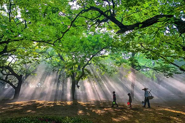 長三角這9條美麗鄉村休閒旅遊行（秋季）路線，你走過幾條？