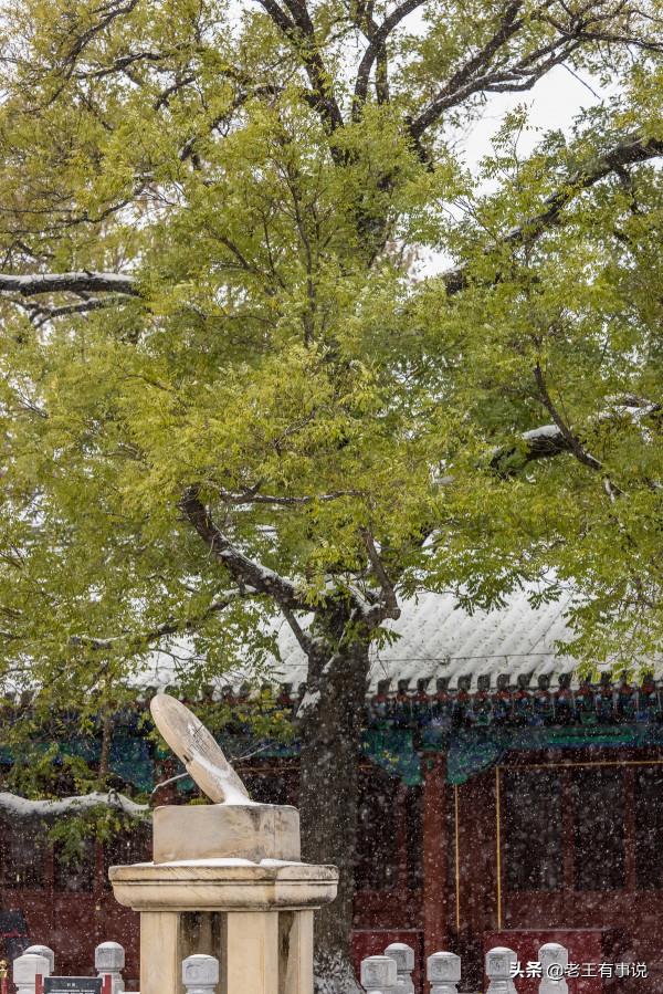 故宮初雪，一片銀裝素裹，變成了紫禁城的樣子