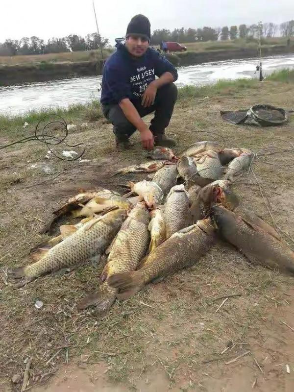 君威君臣：&OpenCurlyDoubleQuote;聯想&rdquo;釣魚人福音快到了，從允許開捕，到允許開釣