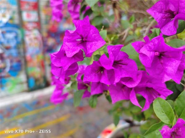 喜歡拍照雙11要買iPhone 13 Pro嗎？對比五款安卓旗艦我悟了