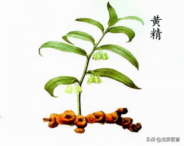 冬季面板乾燥怎麼辦？藥師推薦這幾款中藥