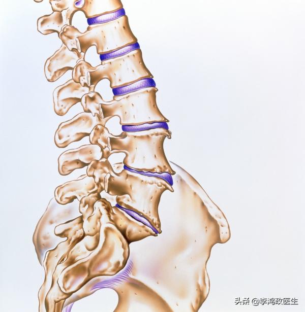 男子腹痛腹瀉，迅速休克病因未明，直至看到患者胸口上的紅點