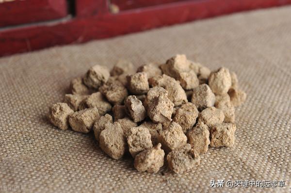 肩周炎，活動受限？送你四味中藥，祛頑痰，通經絡，快來了解下吧