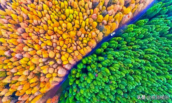 這幾個愈秋愈美的小眾旅行地，錯過只能再等一年