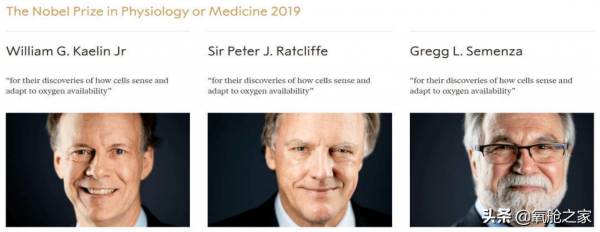 諾獎爆冷重申氧氣重要性 高壓氧艙解決人體普遍缺氧 諾獎爆冷重申氧氣重要性 高壓氧艙解決人體普遍缺氧