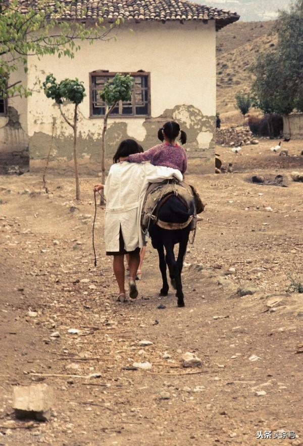 古代詩人為何都喜歡騎毛驢 古代詩人為何都喜歡騎毛驢