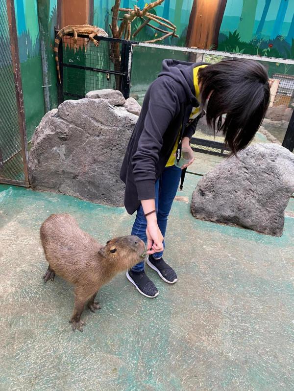 我認識的100個日本人之單親職業女性信子 我認識的100個日本人之單親職業女性信子