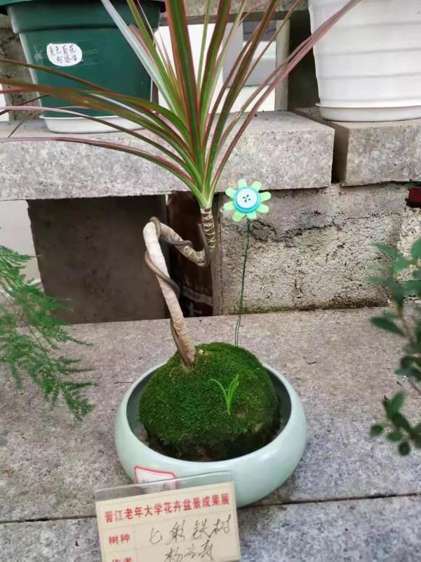 綠園盆景題詩集「推薦」 綠園盆景題詩集「推薦」