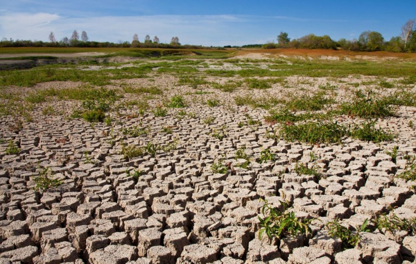 中美兩國專家警告:冬季將出現極端天氣,拉尼娜現象或捲土重來? 中美兩國專家警告:冬季將出現極端天氣,拉尼娜現象或捲土重來?