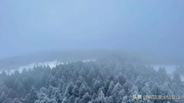 冬遊川渝，被冬季的仙女山驚豔了