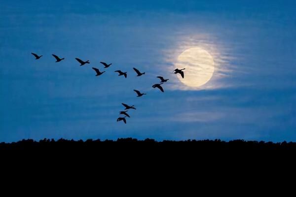 寫滿相思的10大經典宋詞，陸游《釵頭鳳》僅第四，前三分別是？