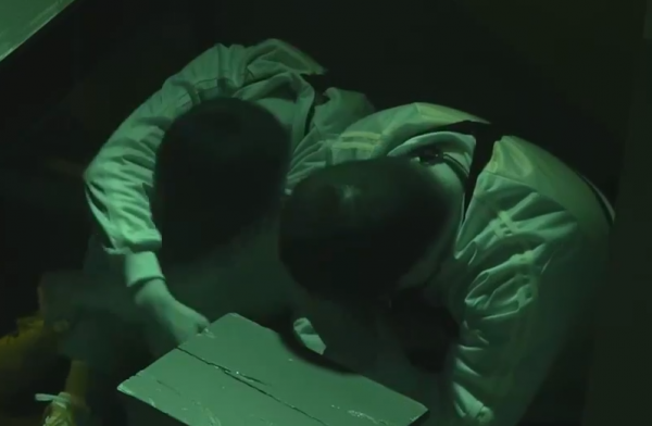 王師傅崩潰怒吼!驢鴿癱軟倒地!爐石區人均膽小? 王師傅崩潰怒吼!驢鴿癱軟倒地!爐石區人均膽小?