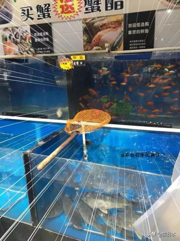亮仔丨日本小夥愛逛中國超市，被五花八門的商品給驚呆