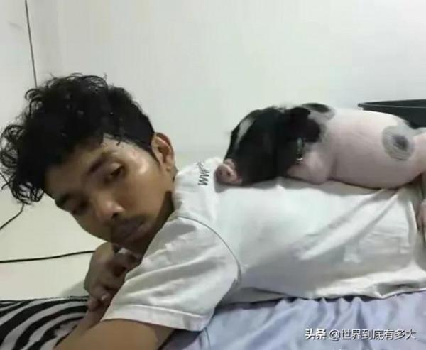 68張照片，帶你見識泰國，不為人知的一面