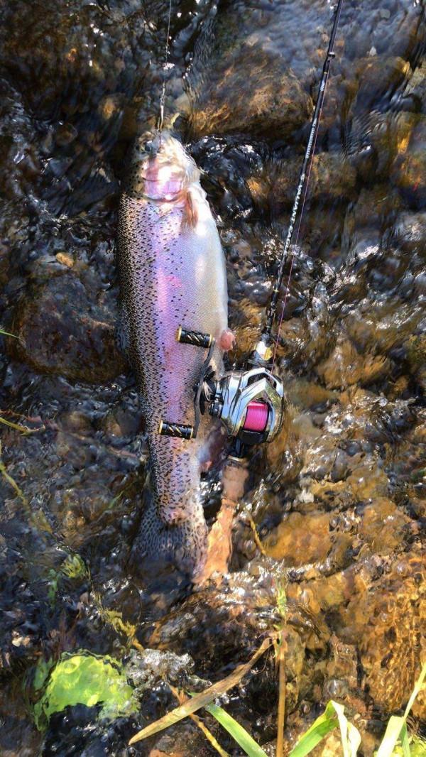 用路亞餌在夏洛特港提供世界級的輕釣行動
