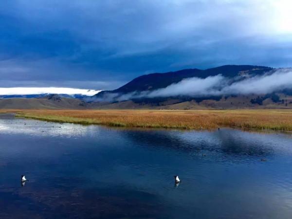 #微信朋友圈的回憶# 2015年10月4日到6日 黃石公園
