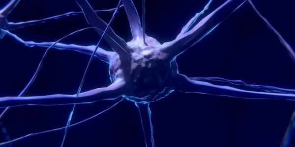 人死後，體內的“殭屍基因”開始活躍，試圖復活人類