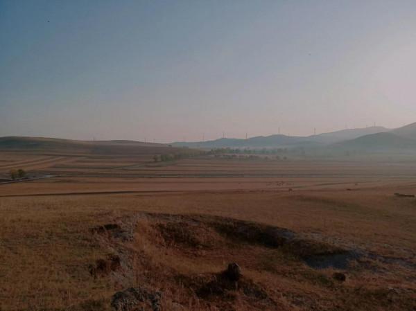 滿目金黃，又想壩上草原了（二）