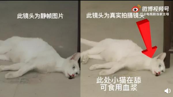 於正,你不要臉的樣子,真噁心 於正,你不要臉的樣子,真噁心