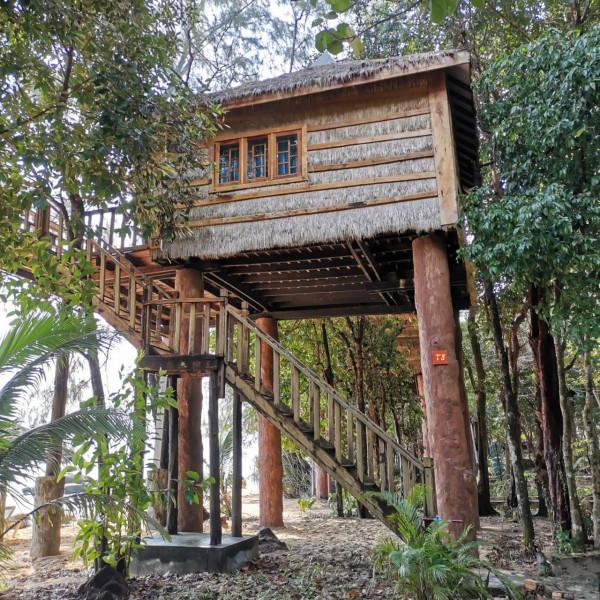 tree house bungalow 巢居（樹屋）：構木為巢，構造來源