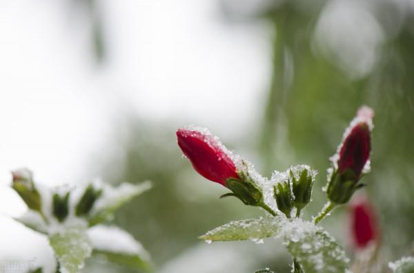 白露逢八月初一,秋分一定會遇到八月十五嗎?不一定,今年就不是 白露逢八月初一,秋分一定會遇到八月十五嗎?不一定,今年就不是