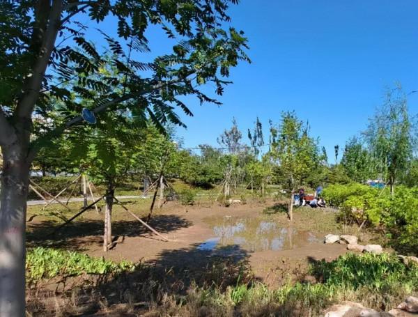 豐臺新開一超大免費公園,位置就在這 豐臺新開一超大免費公園,位置就在這