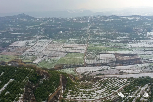 2022年春季丹江口最美雪景，你知道是哪裡嗎？