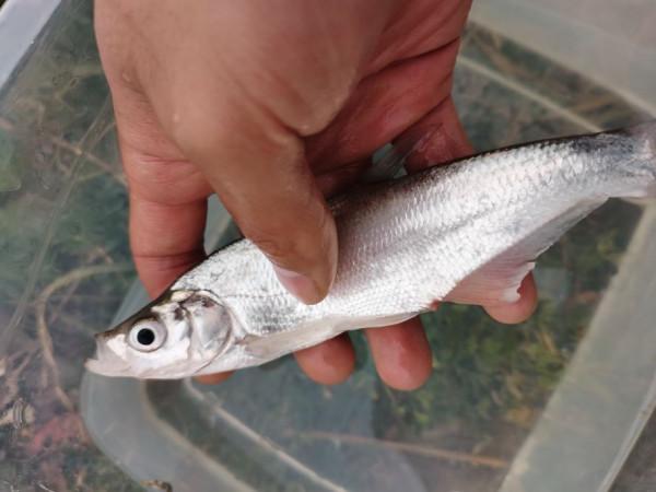 路亞入坑，座標高郵