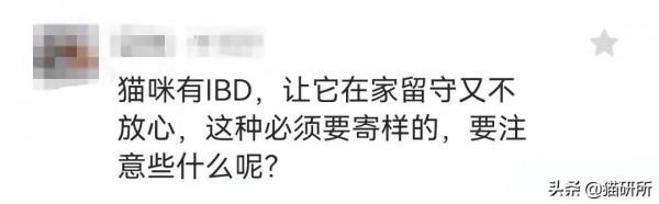 假期外出,如何給貓咪找靠譜寄養? 假期外出,如何給貓咪找靠譜寄養?