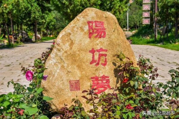 景美又好玩兒,體驗文化之旅,就在昌平這個大“花園”! 景美又好玩兒,體驗文化之旅,就在昌平這個大“花園”!