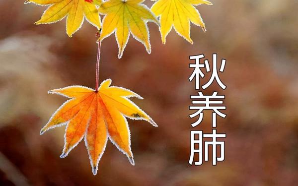 俗話說：“養肺就是養命”？九月養肺正當時，應該做些什麼？