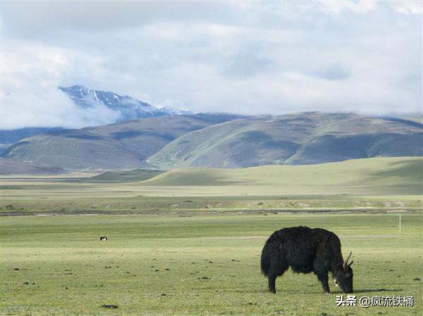 徒步西藏第29天:投宿無門,被山谷中的藏傳佛學院收留 徒步西藏第29天:投宿無門,被山谷中的藏傳佛學院收留